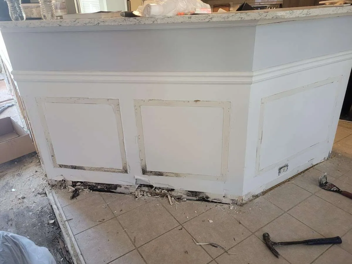 Water damage and mold on kitchen during Mold Inspection & Testing in Davie